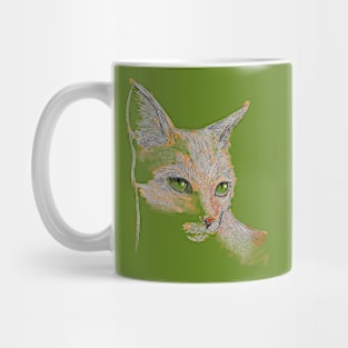 my cat Mug